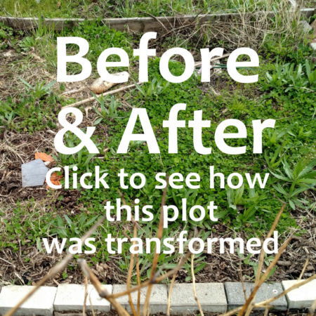 This photo shows what my community garden plot looked like when I first got it - it was a sunken weed-filled mess. This photo goes with my Before and After Community Garden Plot article. Photo Copyright Reese Amorosi GlamorosiCooks.com