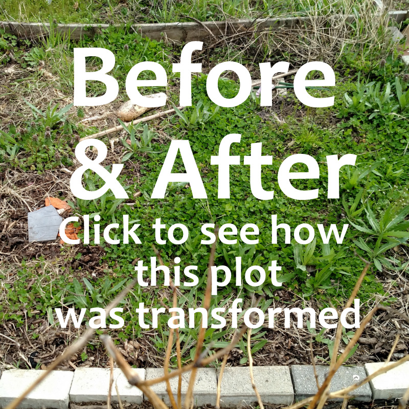 Community Garden Plot: Before and After