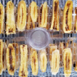 This photo shows the completed recipe for Banana Jerky - Dehydrator Method by Reese Amorosi for GlamorosiCooks.com. The banana slices are on a slotted tray inside of an electric dehydrator.