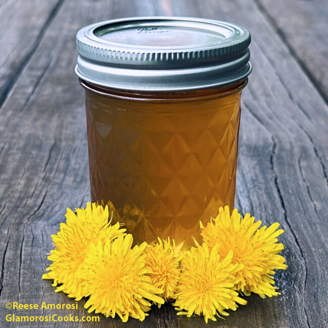This square photo is part of the Dandelion Jelly Recipe on the Glamorosi Cooks website. The photo shows a jar of dandelion jelly on a wooden picnic table. There are five dandelion blossoms at the base of the jar. Photo ©Reese Amorosi GlamorosiCooks.com
